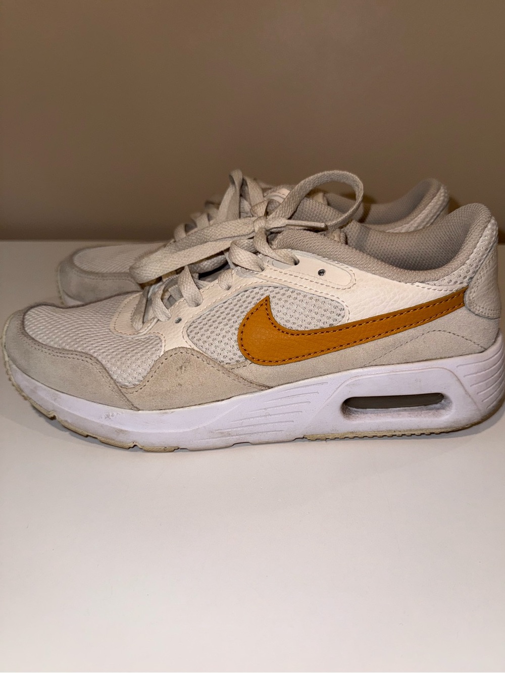 Nike Air Max Women's Shoes